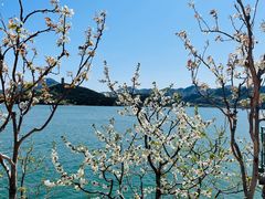 -望湖烤鱼