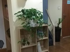 -彩翼儿童美术(新阳路)