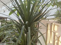 -天津万象城