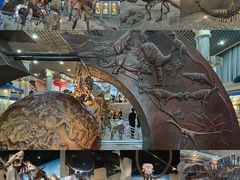 -国家自然博物馆