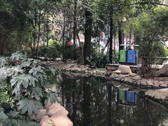-成都市活水公园