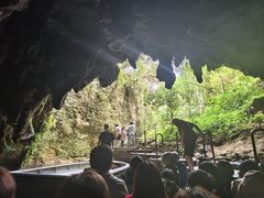 -怀托摩萤火虫洞