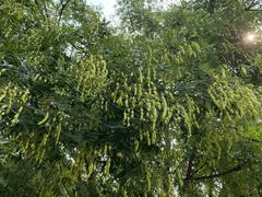 -南京市无想山景区