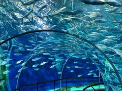 -海合安成都极地海洋公园
