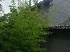 -茯茶镇