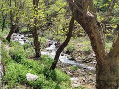 -秦岭终南山世界地质公园翠华山景区