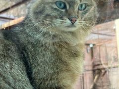 -青藏高原野生动物园