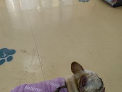 -瑞派天宁宠物医院·猫科·异宠中心