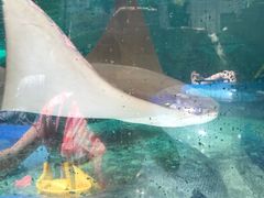 -新加坡水上探险乐园