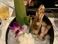 -鲜入围煮花胶鸡海鲜火锅