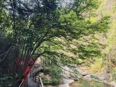 -梁野山景区