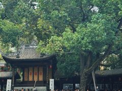 -铁像寺水街