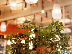 大堂-IL TEATRO 精品意大利餐厅