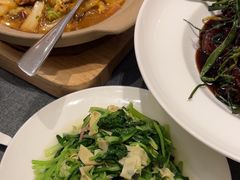 -新吉士·上海菜(浦东LCM置汇旭辉店)