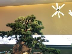 -潮上潮(南中环店)