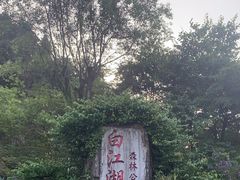 -广州白江湖森林公园