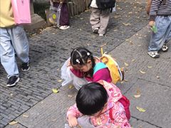 -常熟方塔园