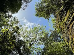 -梭布垭石林景区