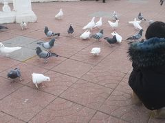 -朝阳公园游乐园