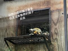 -黔灵山公园