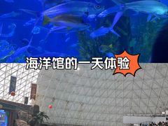 -皇家海洋乐园