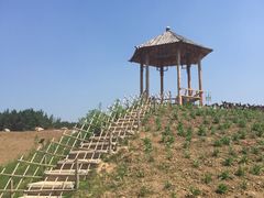 -北纬44度·金珠花海休闲农业旅游景区