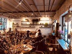 -Apollo·西班牙小酒馆(安福路店)