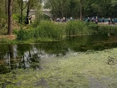 -白水寺森林公园