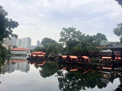 -侨美·唐荔园·40年地道粤菜