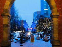 门面-北海道厅旧本厅舍(旧本庁舎)