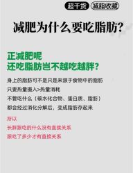 -Fundi张玉珊修身堂·indiba·BTL科技瘦身