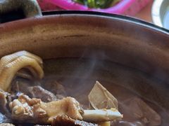 -屯昌枫木香草鸭(羊栏店)