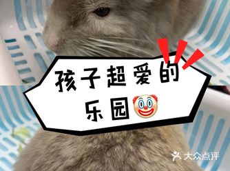 带娃放电去 || 新柒宠（龙湖滨江天街店）
