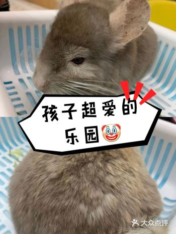 带娃放电去 || 新柒宠(龙湖滨江天街店)