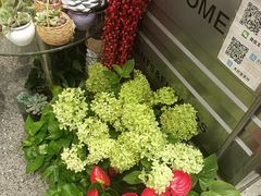 -FEI FEI FLOWER鲜花店·气球派对·宝宝宴布置(虹口德必运动Loft店)