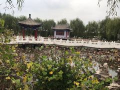-纪晓岚文化园