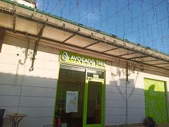 -油梨树AVOCADO TREE(顺义新国展店)