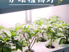 -月星家居(杭州商场店)