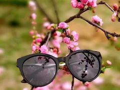 -南汇桃花村