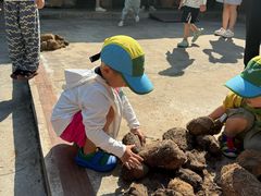 -大象粑粑造纸公园