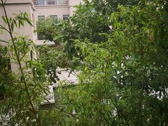 -固安来康郡来康温泉