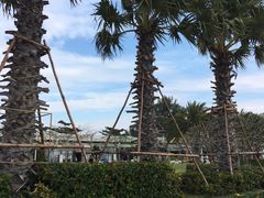 -亚龙湾中心广场