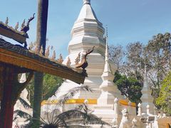 -西双版纳傣族园