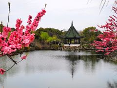 -无锡蠡湖国家湿地公园-蠡园