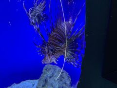 -江和美海洋公园