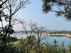 -河源万绿湖美思威尔顿酒店