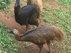-昆明动物园