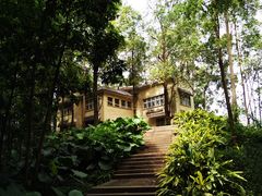 -南岗山公园