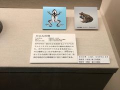 -大阪历史博物馆