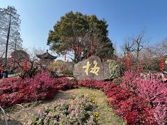 -无锡梅园公园